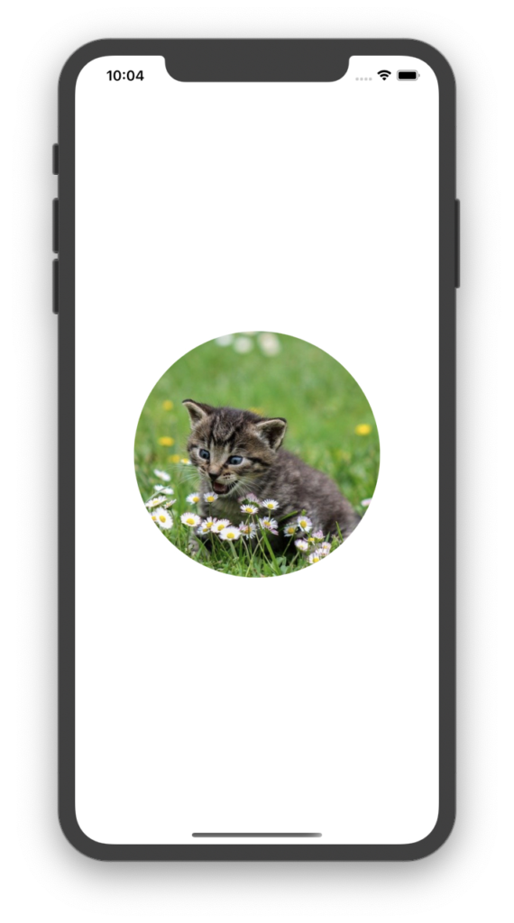 SwiftUIで画像(UIImage)を表示する方法【SwiftUI入門】 – .NET ゆる〜りワーク